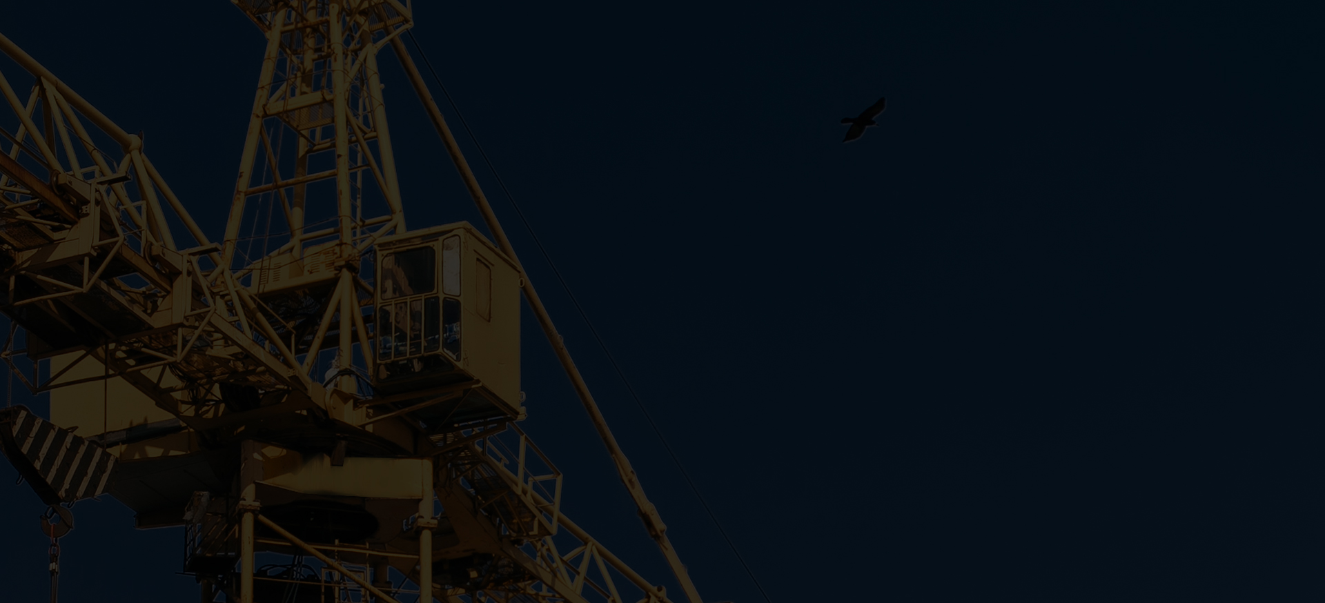 Zhejiang Shuangniao Lifting Equipment Co., Ltd.